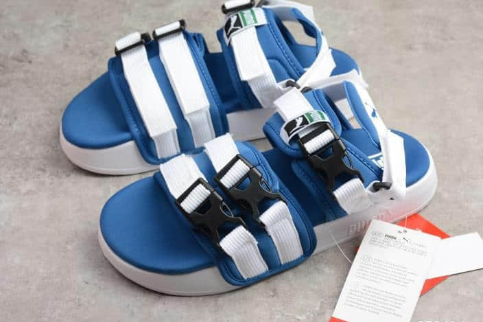 PUMA Leadcat YLM 365630-03 - Stylish Slide Sandals for Men
